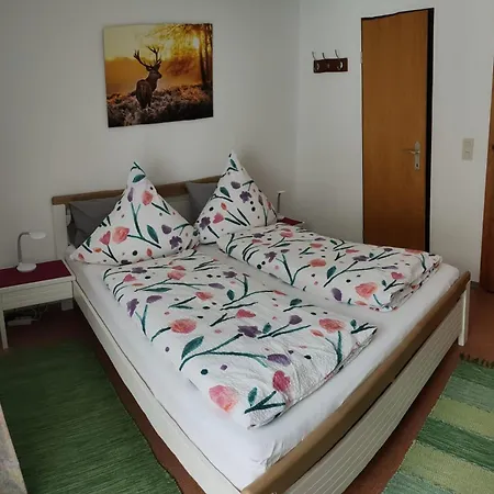 Appartement Haus Gruenstein à Biberwier Extérieur photo